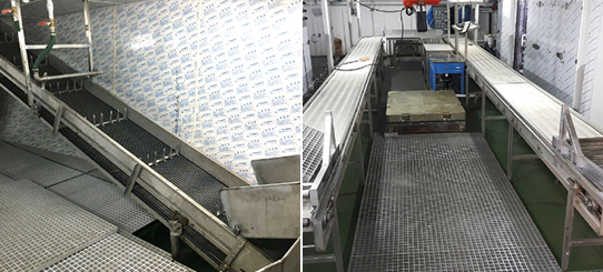 SEA FOOD PROCESSING EQUIPMENT