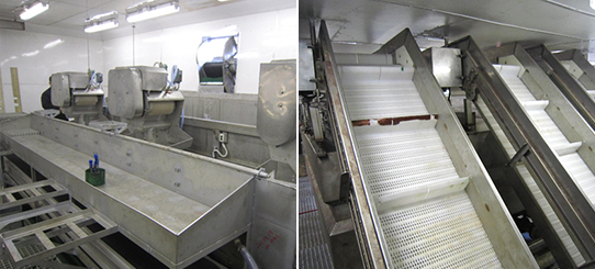 SEA FOOD PROCESSING EQUIPMENT