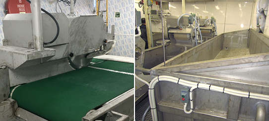 SEA FOOD PROCESSING EQUIPMENT